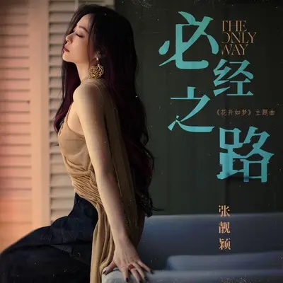 必经之路（弦乐版） - 张靓颖封面