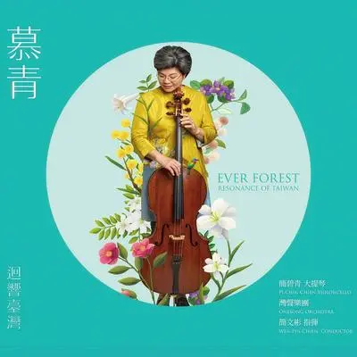 给阿妈的一封信封面