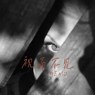 视而不见 (Demo)封面