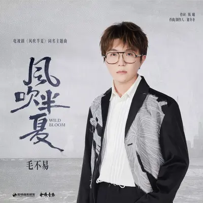 风吹半夏(《风吹半夏》电视剧主题曲) - 毛不易封面