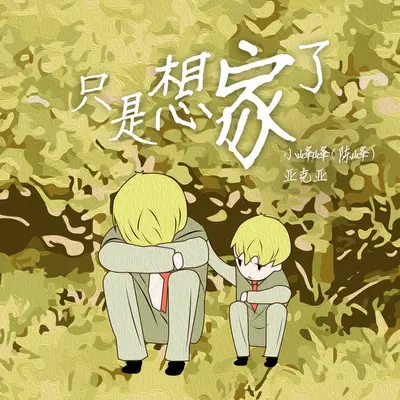 只是想家了 (伴奏)封面