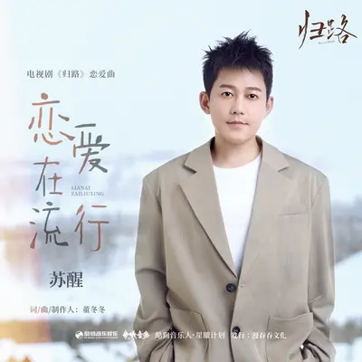 恋爱在流行(专辑:归路 电视原声带) - 苏醒封面