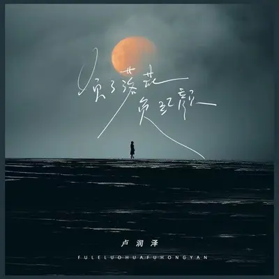 负了落花负红颜（日思柴米夜思钱）(DJ豪大大版)(DJ豪大大版)封面