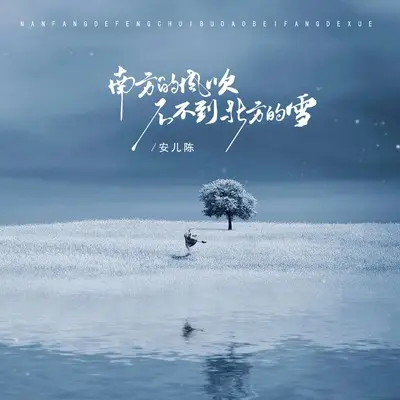 南方的风吹不到北方的雪封面