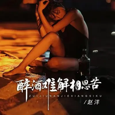 醉酒难解相思苦(DJBanan版)(DJBanan版)封面