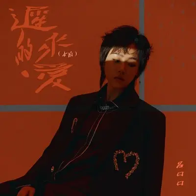迟来的爱 (女版伴奏)封面
