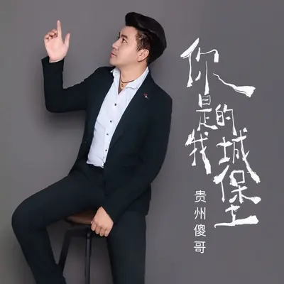你是我的城堡(伴奏) - 贵州傻哥封面