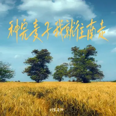 种完麦子我就往南走(0.8X)(0.8X)封面