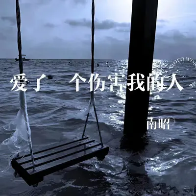 爱了一个伤害我的人封面