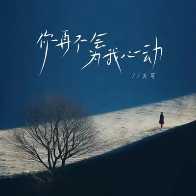 你再不会为我心动(伴奏)封面