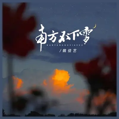 南方不下雪封面