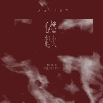 心燃起火(DJ-lucky小阳版)(DJ-lucky小阳版)封面