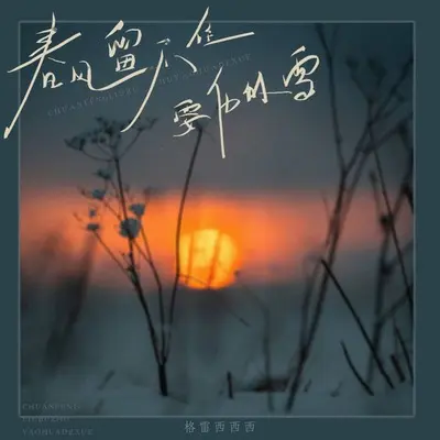 春风留不住要化的雪(伴奏) - 格雷西西西封面