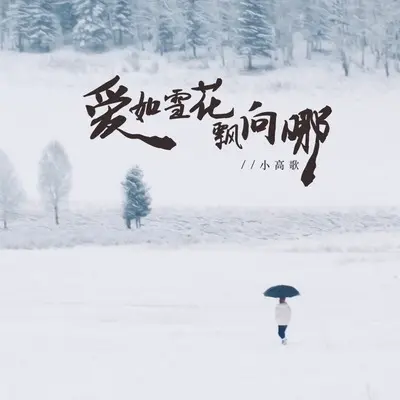 爱如雪花飘向哪封面