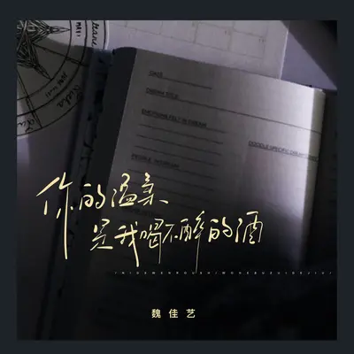 你的温柔是我喝不醉的酒(烟嗓版伴奏)封面