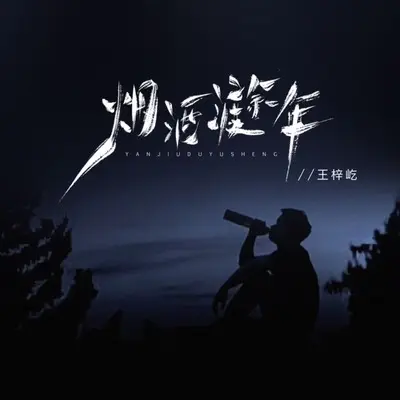 烟酒渡余年封面