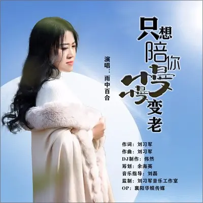 只想陪你慢慢变老(伴奏)封面