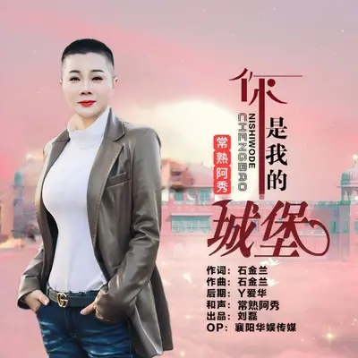 你是我的城堡(伴奏)封面
