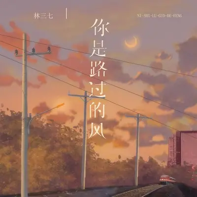 你是路过的风封面