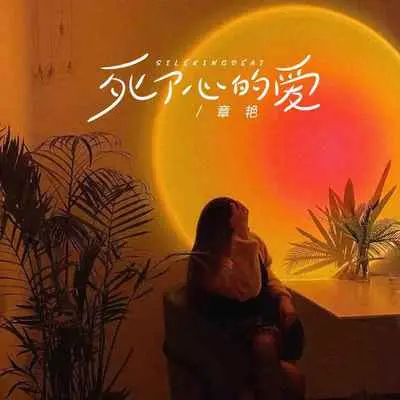 死了心的爱(伴奏)封面