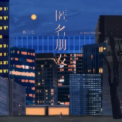 匿名朋友(DJ李想版)(DJ李想版)封面