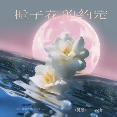 栀子花的约定(DJ李想男版)(DJ李想男版)封面