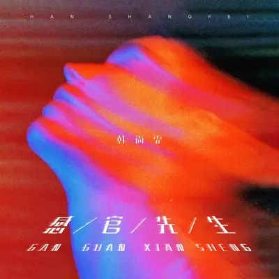 感官先生(伴奏)封面