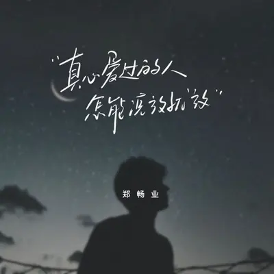真心爱过的人怎能说放就放封面