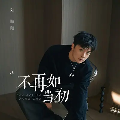 不再如当初 - 刘阳阳封面