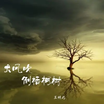 大风吹倒梧桐树 - 王梓屹封面