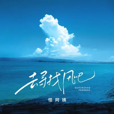 去寻找风吧（不是等风来）(DJ何友版)(DJ何友版)封面