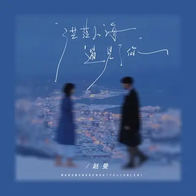 茫茫人海遇见了你封面