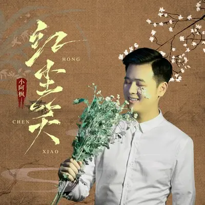红尘笑(DJ名龙版)封面