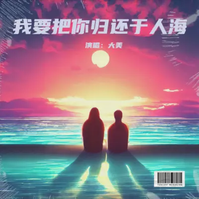 我要把你归还于人海封面