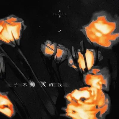 永不熄灭的我封面