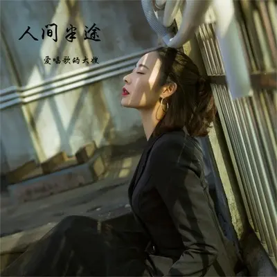 人间半途 - 爱唱歌的大嫂封面
