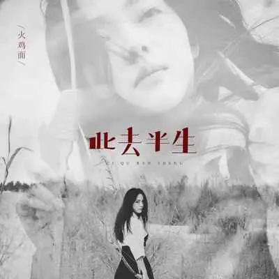 此去半生(官方版)(官方版)封面