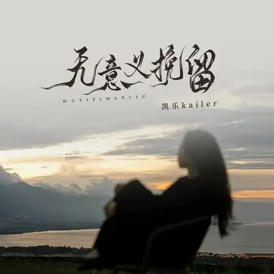 无意义挽留封面