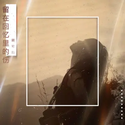 留在回忆里的伤封面