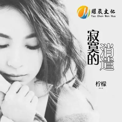 寂寞的消遣 - 柠檬封面
