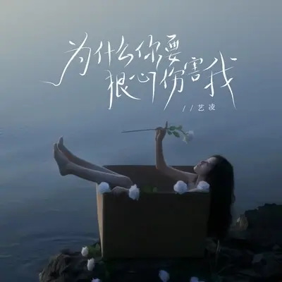 为什么你要狠心伤害我封面