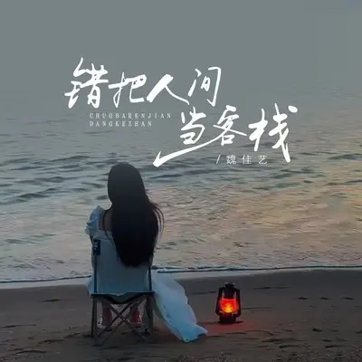 错把人间当客栈(DJ何友广场舞版)(DJ何友广场舞版)封面