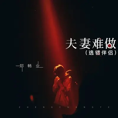 夫妻难做（选错伴侣）(伴奏)封面