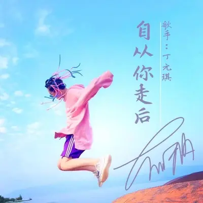 从你走以后封面