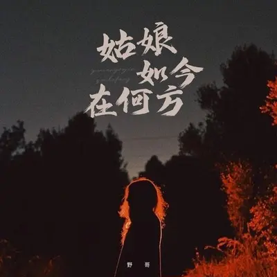 姑娘如今在何方(DJ豪大大版伴奏) - 野哥封面