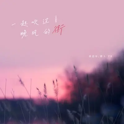 一起吹过晚风的街(说唱版伴奏) - 聂思诗 / 散人TR封面