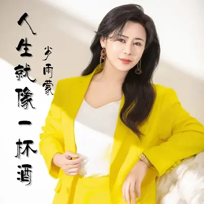 人生就像一杯酒(DJ阿能版)(DJ阿能版) - 肖雨蒙封面