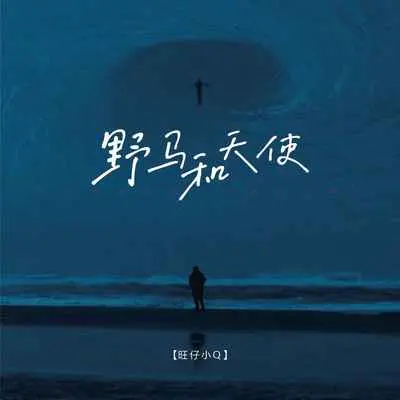 野马和天使(烟嗓版伴奏)封面