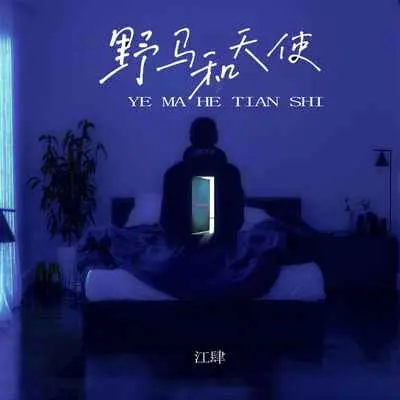 野马和天使(抒情版)(抒情版)封面