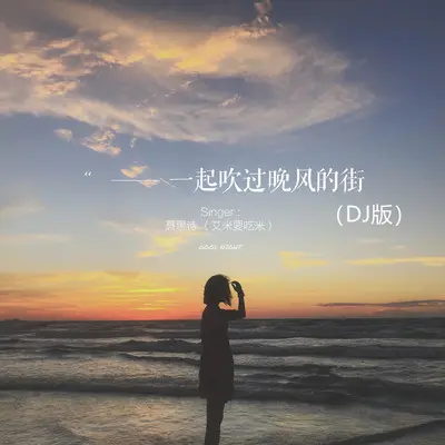 一起吹过晚风的街(DJ沈念版)(DJ沈念版)封面